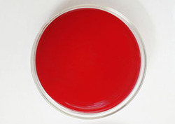 Agar Instructional Video