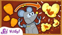 Why Does Popcorn Pop? | The Science of Food! | SciShow Kids Instructional Video