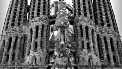 Visiting Barcelona's Sagrada Familia Instructional Video