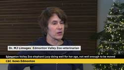 Edmonton zoo elephant Lucy doing well for her age — but not well enough to be moved News Clip