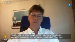 What's the legacy of Japan's Fukushima disaster? | Inside Story News Clip