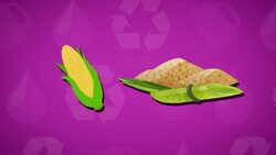 I WONDER - Where Do Biofuels Come From? Instructional Video