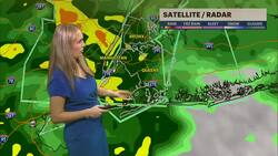 STORM WATCH: Heavy rain and gusty winds Thursday evening for Brooklyn News Clip