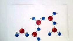 Unique Properties of Water Instructional Video