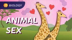 Sexual & Asexual Reproduction: How Animals Do It: Crash Course Biology #47 Instructional Video