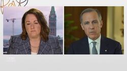 Canada can't depend on global system, foreign sourcing in future crises, says Carney News Clip