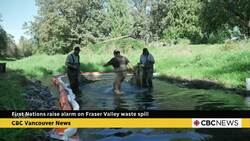 First Nations sound alarm about mysterious waste flowing into the Hope Slough again News Clip