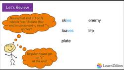 Making Plural Nouns Correct Instructional Video