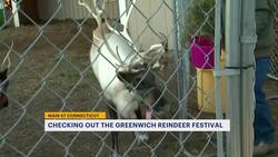 Main Street Connecticut: Showcasing all the holiday hot spots in Greenwich News Clip