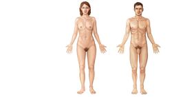 Distal vs Proximal Instructional Video