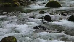 Fast rocky stream running in Caucasian mountains, kayaking and extreme sports Stock Footage