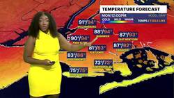 HEAT ALERT: Hazy, hot and humid with feels-like temps at 95+ degrees in Brooklyn News Clip