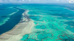 Random Facts About the World web Instructional Video