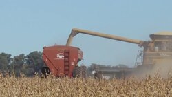 VOICED : Latinoamérica puede ser una solución a crisis de abastecimiento mundial, dice el BID News Clip