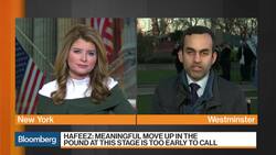 Nomura Points Out Nine 'Gray Swans' to Watch for in 2019 News Clip