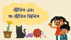 Living or Not - Understanding Different Objects - Bengali Instructional Video