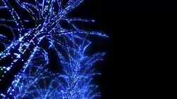 Neon Tree illumination Stock Footage