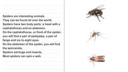 Language Function and Construction: Text Structure, Part 2 Instructional Video