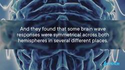 The Tiny Molecule Responsible for Startle Syndrome Instructional Video