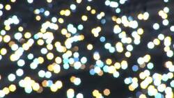 Christmas Decorations for sale News Clip