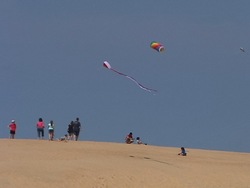 Verano: introducción Instructional Video