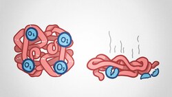 The Disease You Will Never Survive Instructional Video