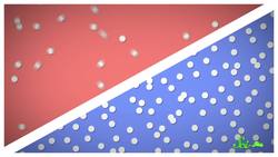 Its a Bird Its a Plane Its Oh Yep Thats a Plane Instructional Video