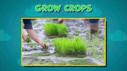 I WONDER - Are There Any Advantages During Monsoon Season? Instructional Video