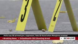 Luigi Mangione charged with 2nd-degree murder in killing of health insurance CEO News Clip
