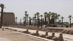 Egypt, Luxor - Temple of Luxor - Dromos of Sphinxes of Nectanebo I Stock Footage