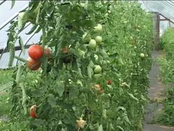 Forming Bonds: Introduction Instructional Video