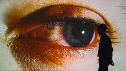 Rods and Cones of the Eye Instructional Video