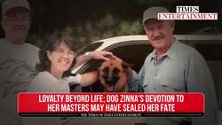 Gene Hackman's Dog's Heartbreaking End: Pet Care Owner Reveals Shocking Details Behind Tragic Fate News Clip