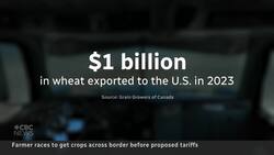 Canadian farmers rush grain to U.S. buyers before tariffs hit News Clip