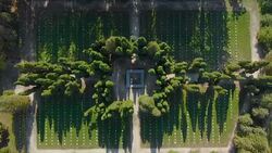 Old Cemetery in a park (aerial) Stock Footage