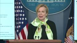 Birx Discusses Three-Phase Process to Return to Normal Life, Work News Clip