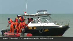 Boeing CEO testifies on safety record, apologizes to crash victims' families News Clip