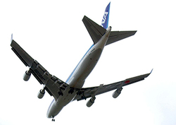 Noise pollution Instructional Video