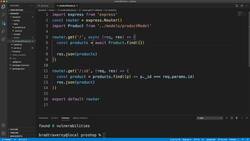 Fetching Products from the Database Instructional Video