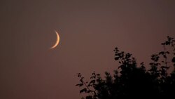 How to Night Fish Instructional Video