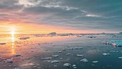 Ice floe floating in the ocean Stock Footage