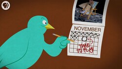 Where Do Birds Go In Winter? Instructional Video