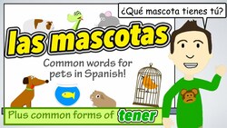 Learn words for different Pets in Spanish ! Instructional Video