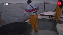 60,000+ Migrants ‘Storm’ NATO Nation: Tourist Destination Turns HOTSPOT For Migrants | Trump News News Clip