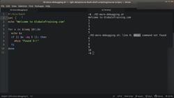 Bash Shell Scripting - Debugging - Part 3 Instructional Video