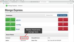 The Complete Practical Docker Guide - Verifying Persistent MongoDB Storage Using Volume Instructional Video