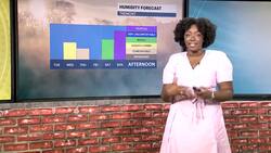 Breezy and warm Monday for the Bronx; tracking strong midweek storms News Clip