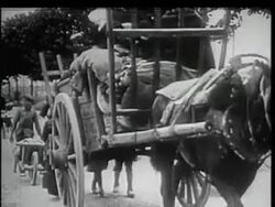 German invasion of Belgium, mobilisation of british troops in london Stock Footage