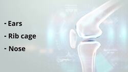 Why Do Babies Have More Bones Than Adults? Instructional Video