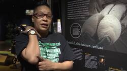 Just in time for Halloween: A live spider exhibit Instructional Video